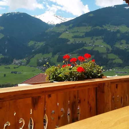 Apartman Chalet Modern Life
